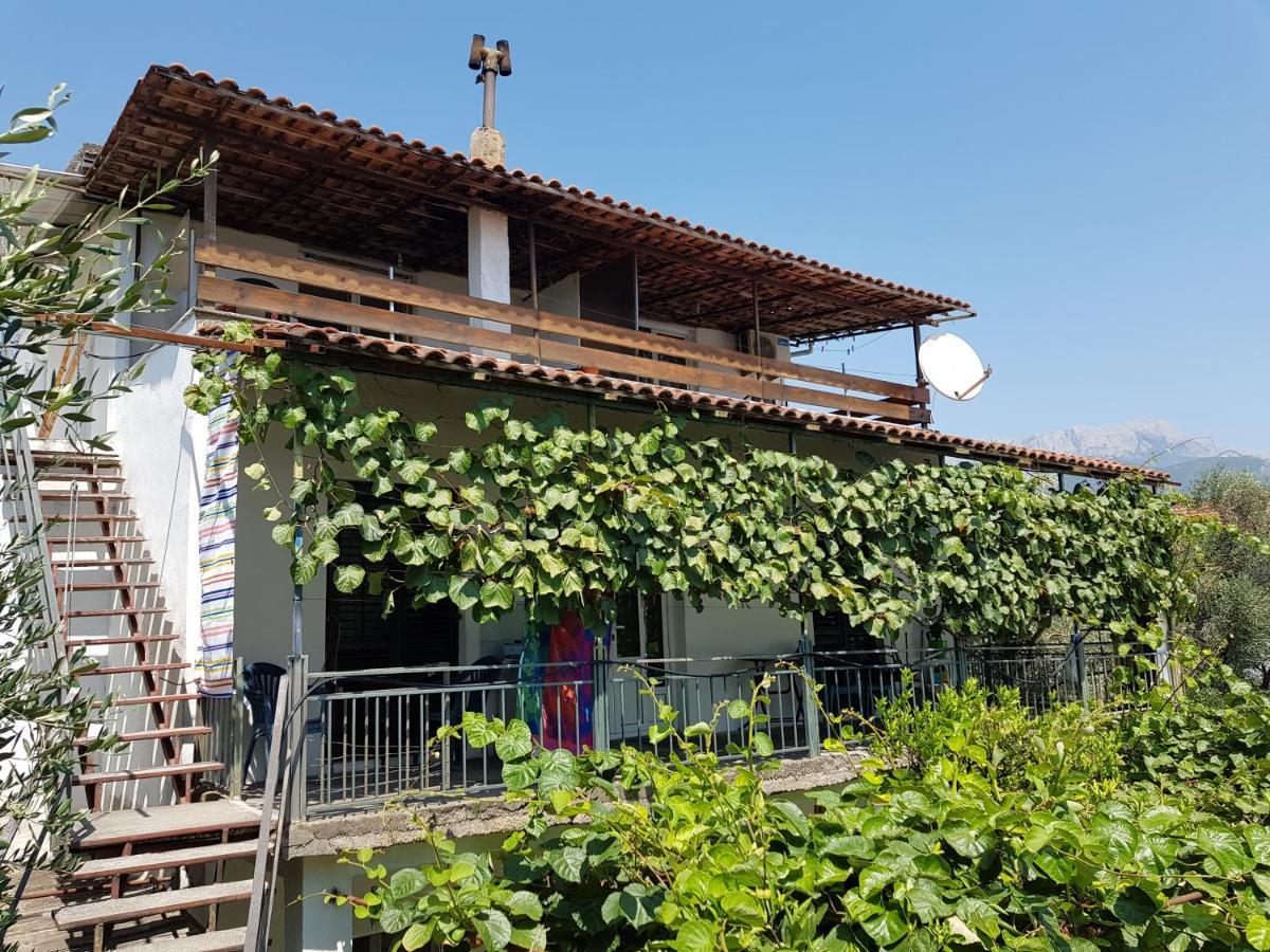 Apartmani Gordana بار المظهر الخارجي الصورة